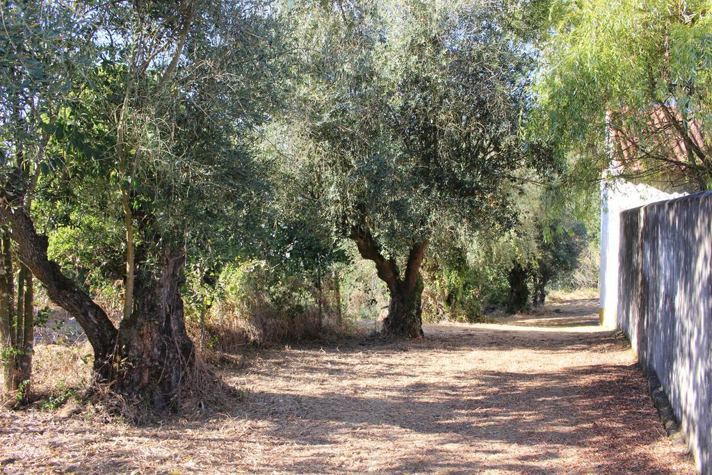 Quinta Do Valle Tomar Luaran gambar