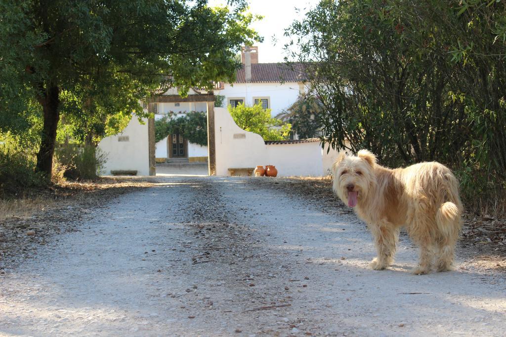 Quinta Do Valle Tomar Luaran gambar